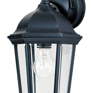 Builder Cast 1-Light Outdoor Wall Lantern