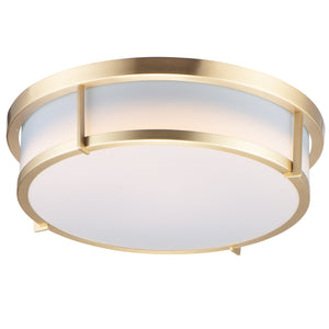Rogue 17" LED Flush Mount