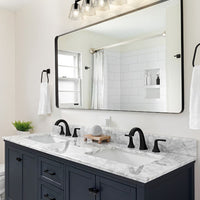 Analia 45.75-in Vanity