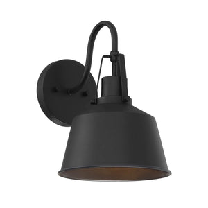 Meridian 1-Light Outdoor Wall Lantern
