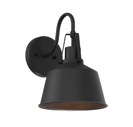 Meridian 1-Light Outdoor Wall Lantern