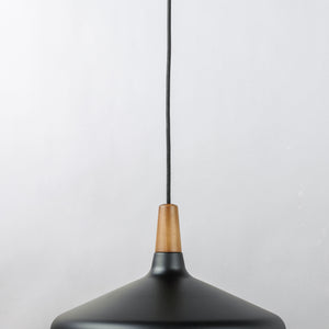Nordic 1-Light Pendant