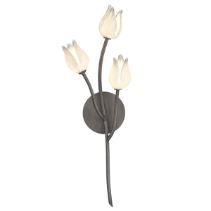 Belluno LED Wall Mount