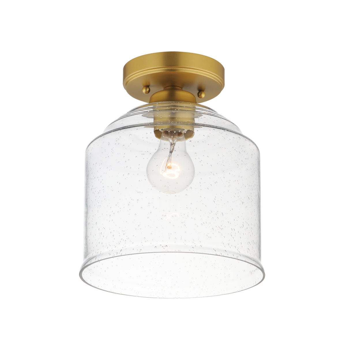 Acadia 1-Light Semi-Flush Mount