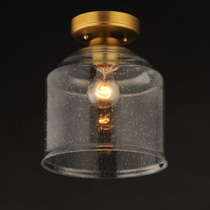 Acadia 1-Light Semi-Flush Mount