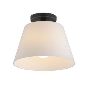 Hudson 1-Light Semi-Flush Mount/Pendant