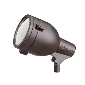 Accent 1-Lt 120V
