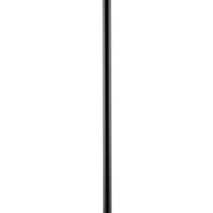 Accessory Stem 1/2NPSM 24 in