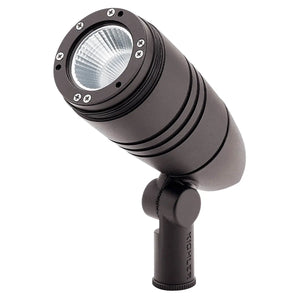 C-Series Accent 425Lm 40Deg 30