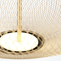 Park 14" Integrated LED Pendant