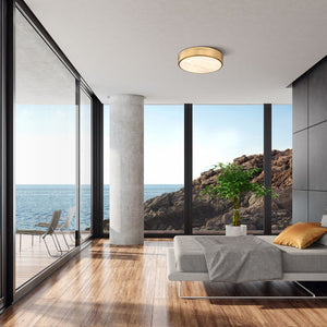 Anders 22-in Flush mount