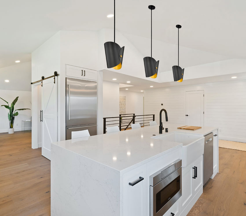 Salone 10-in Pendant