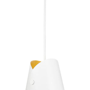 Salone 10-in Pendant
