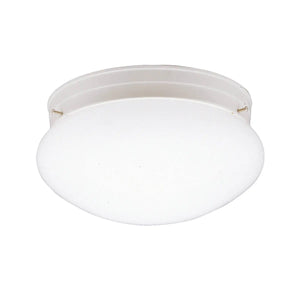 Flush Mount 1Lt