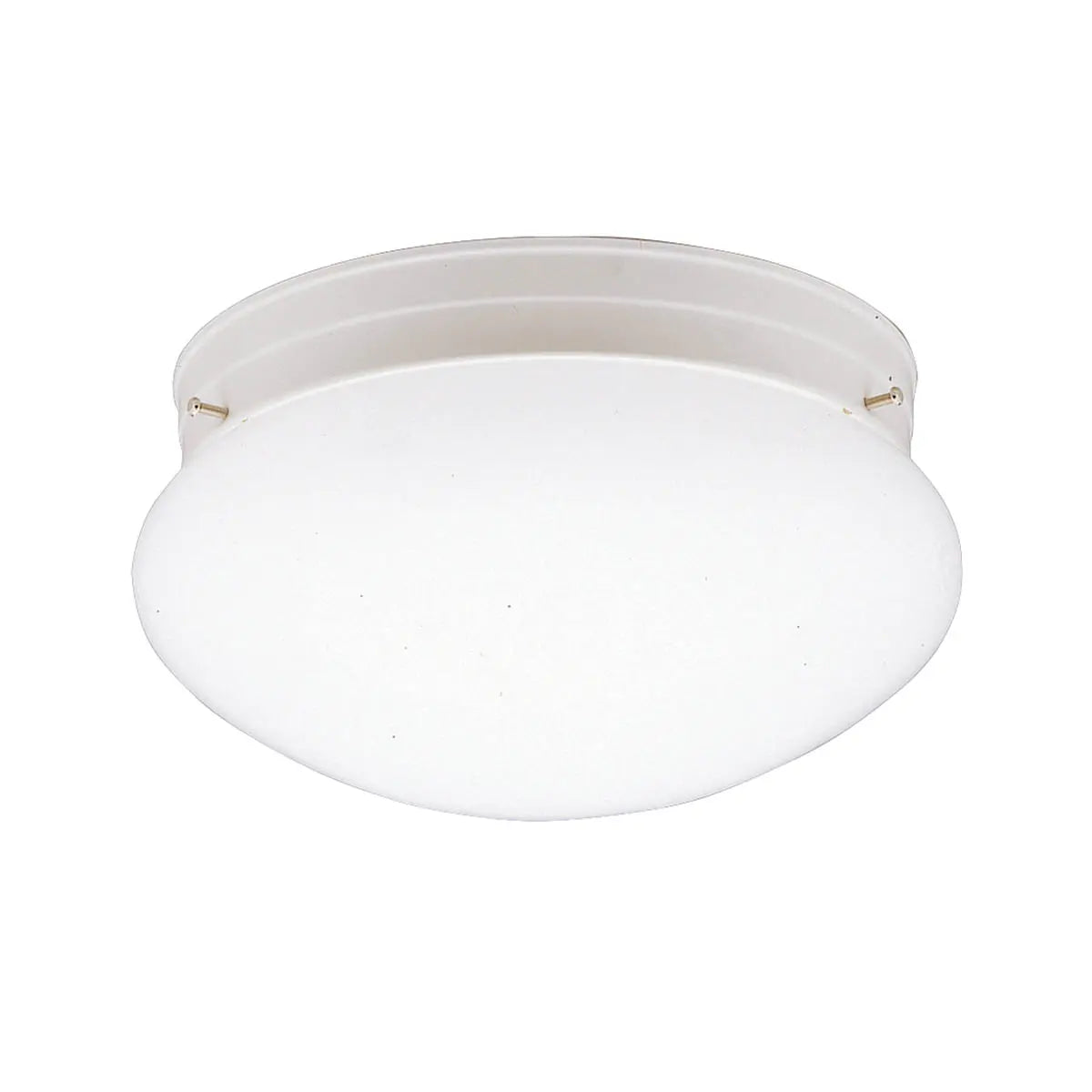 Flush Mount 1Lt