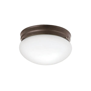 Flush Mount 2Lt
