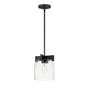 Scoop 1-Light Pendant/Flush Mount