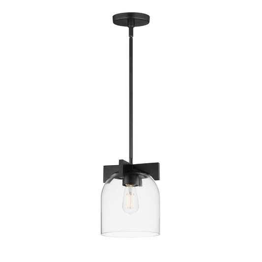 Scoop 1-Light Pendant/Flush Mount