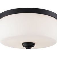 Arlington 14-in Flush Mount