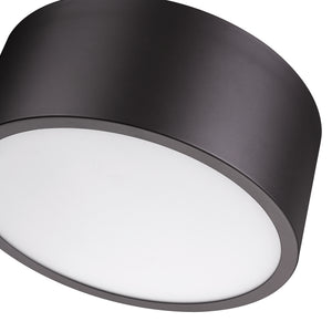 Harley 12-in Flush Mount