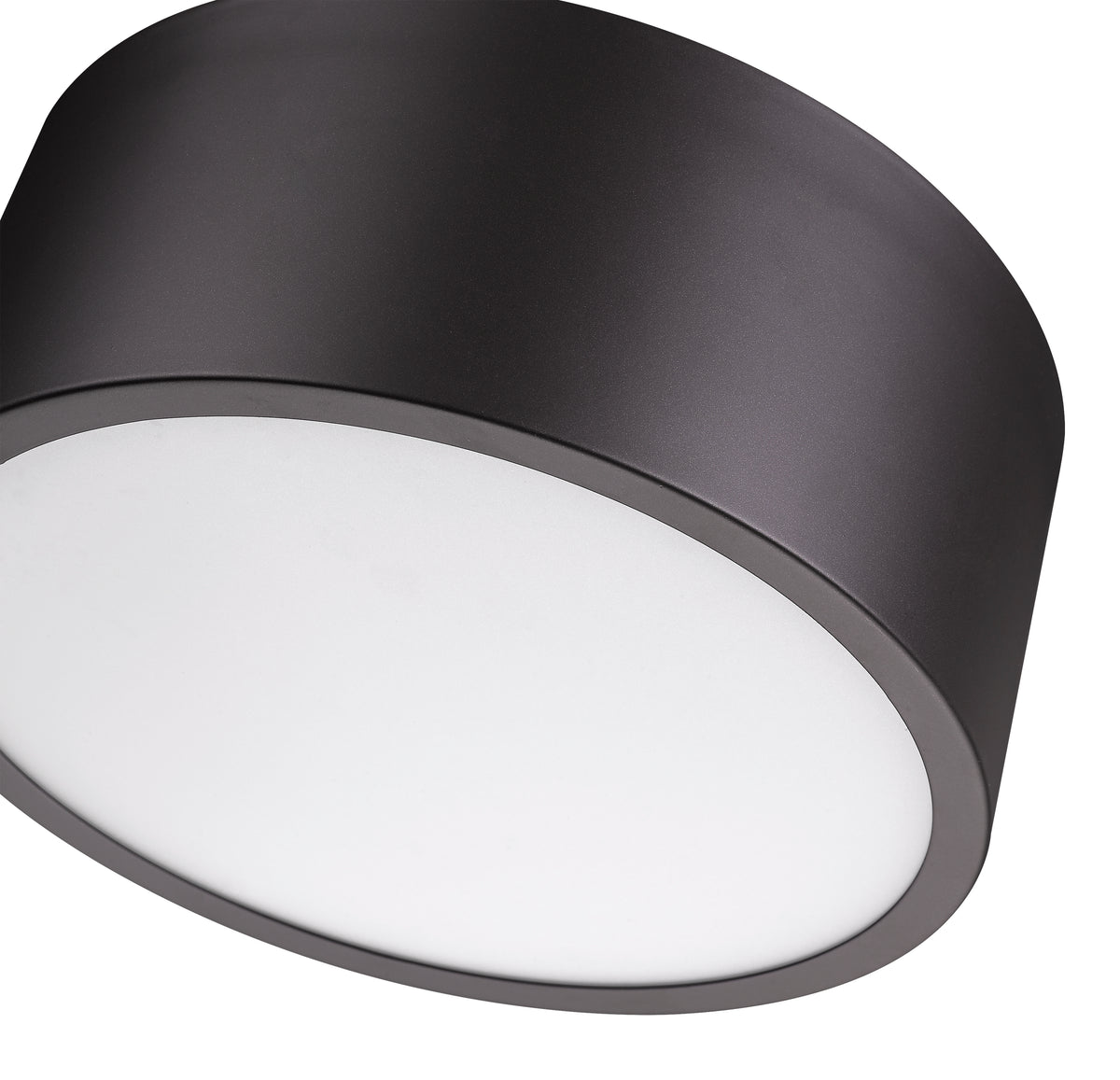 Harley 12-in Flush Mount