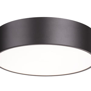 Harley 4 Light Flush Mount