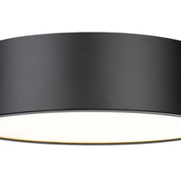Harley 20-in Flush Mount