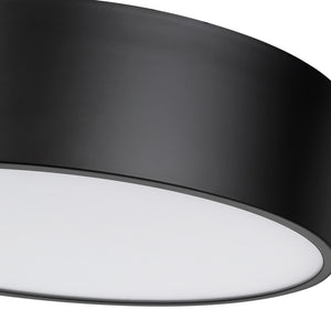 Harley 4 Light Flush Mount