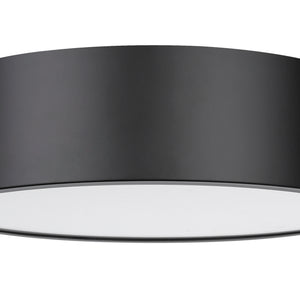 Harley 4 Light Flush Mount