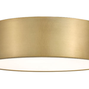 Harley 20-in Flush Mount