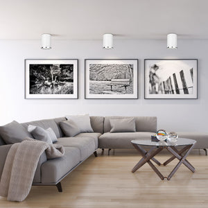 Arlo 5.25-in Flush Mount
