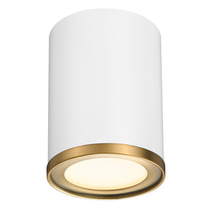 Arlo 5.25-in Flush Mount 1 x 60W - Medium
