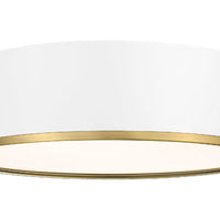 Arlo 20.25-in Flush Mount