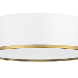 Arlo 20.25-in Flush Mount