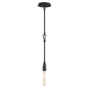 Pioneer 1-Light Pendant