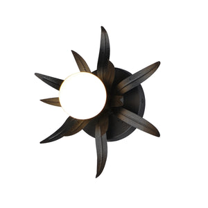 Paloma 1-Light Sconce