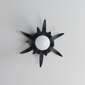Paloma 1-Light Sconce