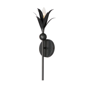 Paloma 1-Light Sconce