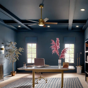 48 Inch Brahm Fan