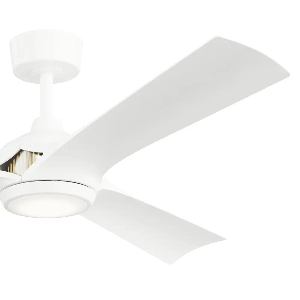 56 Inch Veetra Fan