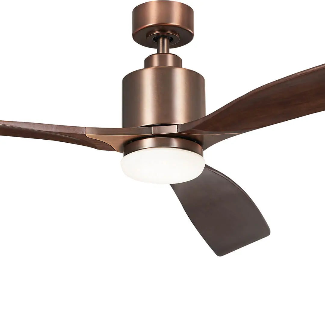 60 Inch Ridley II Fan