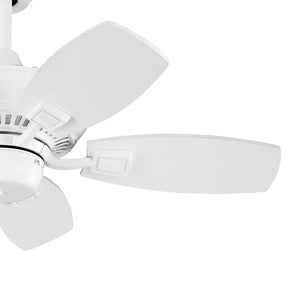30 Inch Canfield Fan