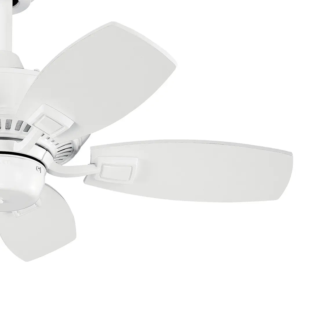 30 Inch Canfield Fan