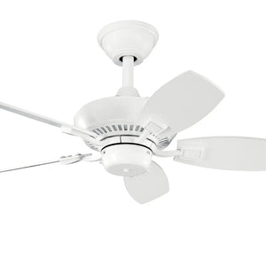 30 Inch Canfield Fan