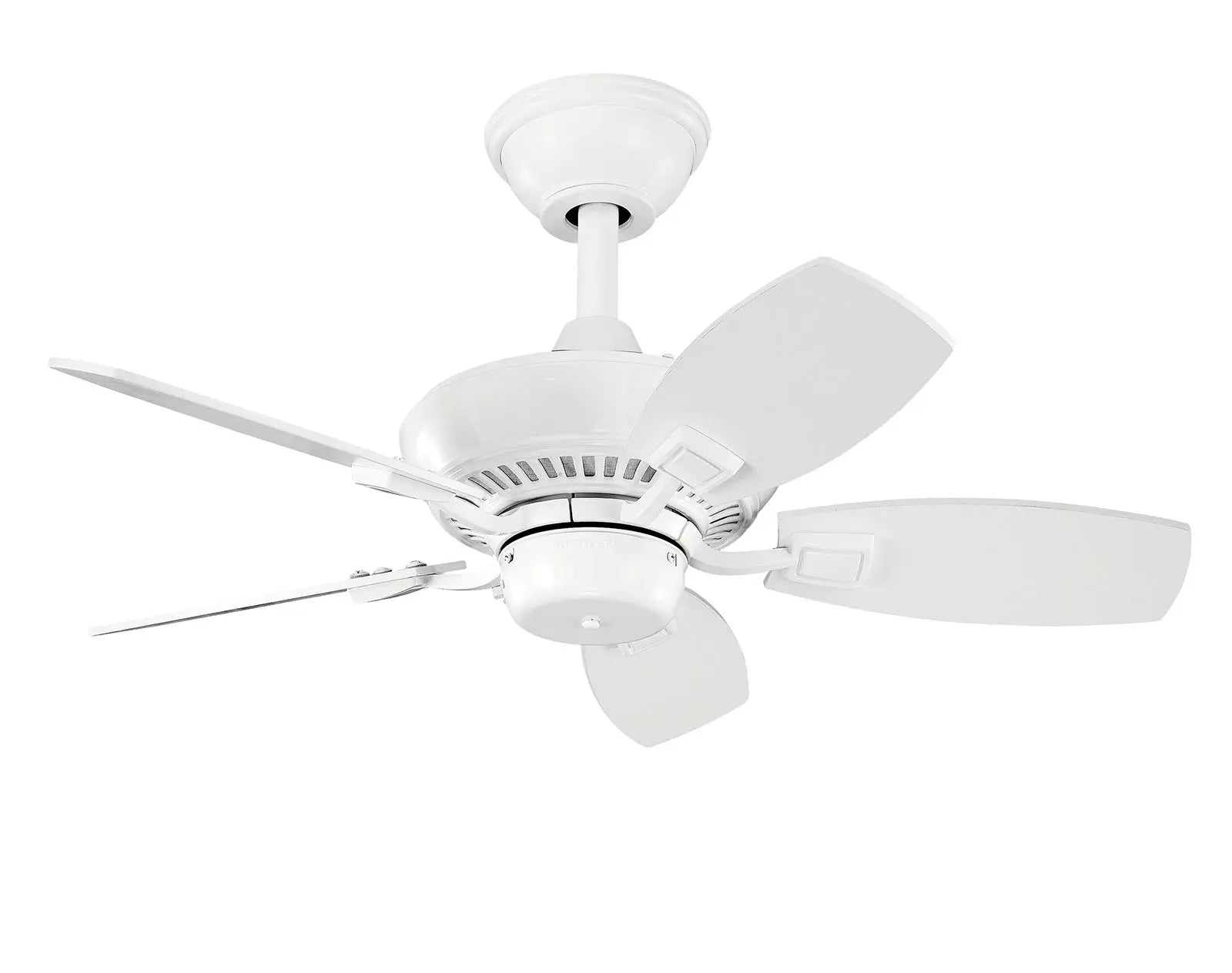 30 Inch Canfield Fan