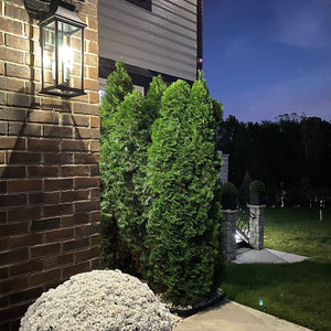 Vicksburg 3-Light Large Outdoor Wall Sconce