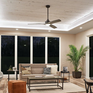 56 Inch Ried Fan