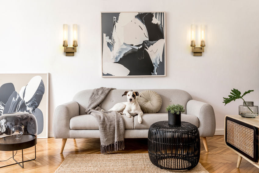Beau 8.25-in Wall Sconce