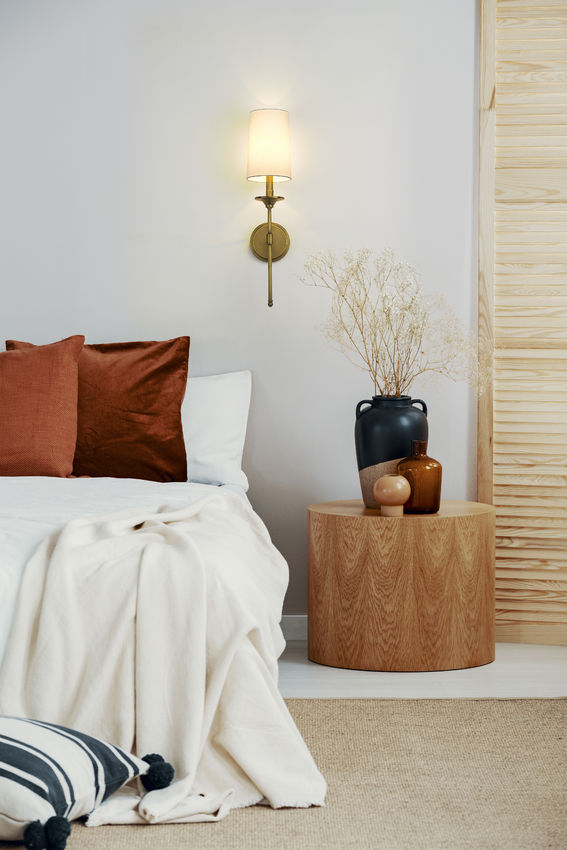 Emily 5.5-in Wall Sconce