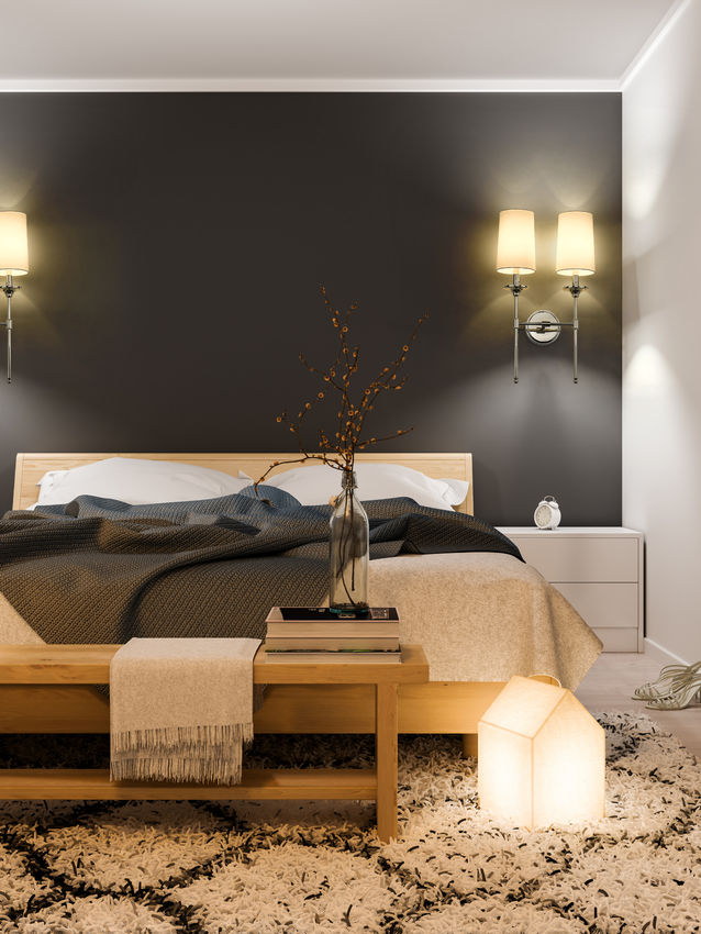 Emily 13.75-in Wall Sconce